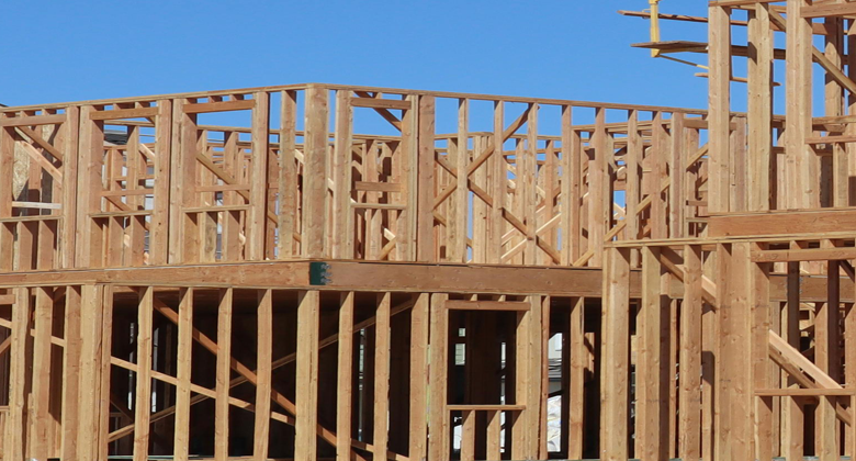 Professional Instructor